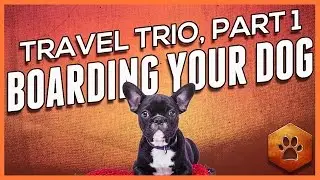 See How to Find a Dog Boarding Facility - Holiday Pet Travel (1 of 3)