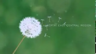 Colour Me Green Intro