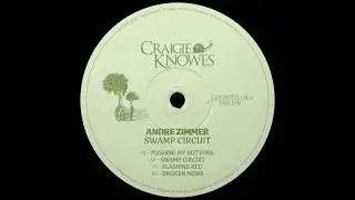 Andre Zimmer -- Flashing Red