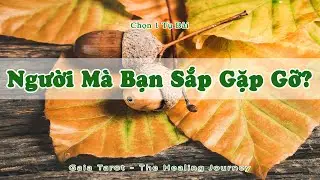 Người Mà Bạn Sắp Gặp Gỡ?