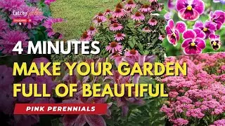 Top 5 Beautiful Pink Perennials a Must Have In Your Garden 🌸🌷🌺 // Gardening Tips