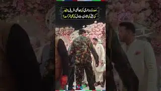 President Zardari&rsquo;s Niece, Faryal Talpur&rsquo;s Daughter Ayehsa Talpur's Wedding | #faryaltalpur #shorts