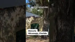 A walk though #history in Central Florida - #historical #antiques #gainesville #town #cafe #walking