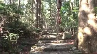 Kumano Kodo Walk from Daimon-zaka to Nachi Falls