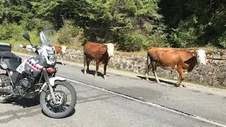Moto Tours - Trans Apuseni, traseu Complet Rachitele - Padis -Pietroasa