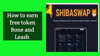 How to stake or provide liquidity on shibaswap to gain bone token queek and easy demonstration