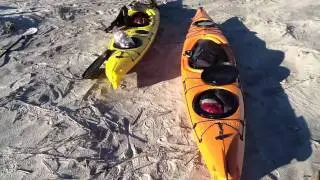 Jackson Kayak Journey in Savannah