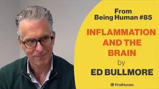 Ed Bullmore - Inflammation and The Brain - from Being Human #85