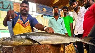 KASIMEDU SPEED SELVAM KADAVARA FISH CUTTING VIDEO \ cutting focus