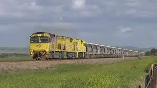Drought Relief Grain Trains + Drone Footage - Trains of SA's Mid North