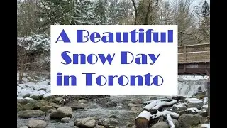 Winter in Toronto | A Beautiful Snow Day in Toronto