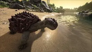 ARK SE: #24 TOUT SUR LA CARBONEMYS FR-HD