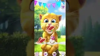 Говорящий Рыжий😹😹😹😹😹