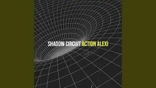 Shadow Circuit