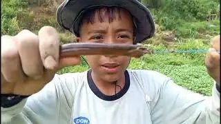 #mencari belut di MLB #mancingbeluuutt