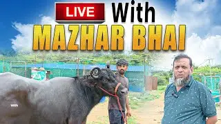 Mazhar Dairy farm Live 7794978934,9391930411,8143504992,833945017