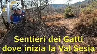 Sentieri dei Gatti: Bavash - Mazzucco - Funtana d'Or - Mavo - La Nervi, dove inizia la Val Sesia