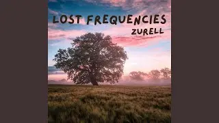 Lost Frequencies