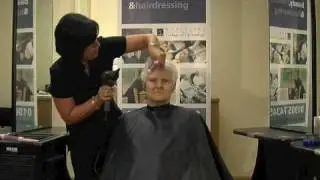 Short Hair Blow Dry 2