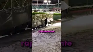As&iacute; se detiene una carrera de galgos 😱✨