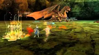 Cloron Dragon, 07.06.2011