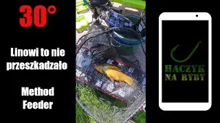 Upał, Gruby Prosiak i Method Feeder #fishlog66