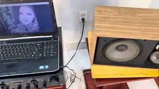 BOSE 301III Series 3 speakers, classic wood grain cabinets, original surrounds matching serial nu...