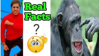 😂 Some facts about my real life... | Para samsung A3,A5,A8,A9,A6,A9,A4,Z,P3,