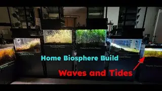 Biosphere Project Now Has Waves and Tides