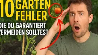 10 Gartenfehler, die du garantiert vermeiden solltest