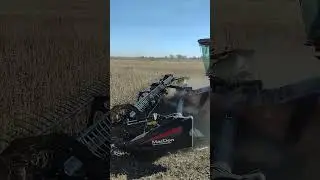 combine rolling through beans #feedtheworld #tractor #farmer #farming #harvest #2023