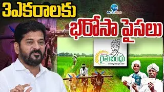 Deputy CM Bhatti | Rythu Bandhu Latest News | 3ఎకరాలకు భరోసా పైసలు | ZEE Telugu News