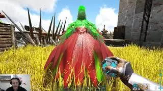 Papi corse s'&eacute;clate sur Ark survival : 231&egrave;me &eacute;pisode 2 1 19