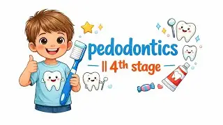 Pedodontics | Morphology of primary teeth - 4th stage 
