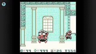 Super Mario Land 2 Finale: Mario VS Wario