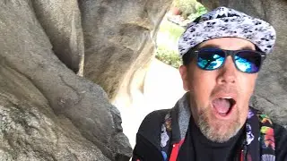 LIVE from Disneyland! Exploring Tom Sawyers Island/ AMA