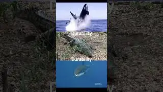 Orca vs Crocodile vs Shark #shorts