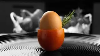 Best eggs right here