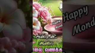Naam kadhal pavam endral love ❣️ song 💕 #love #song #tamilsong #tvk #jvn