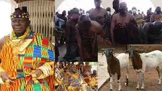 Eiiiii Bantamahene sells Subin river as the River reveals itself live to him.