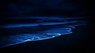 Quiet Night: 14 HOUR Sea Sounds to Cure Restlessness & Promote Deepest Trance