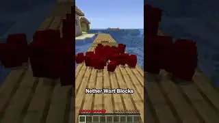 How to stop nether spawns
