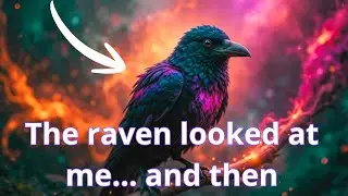 Discover the spiritual meaning of the &ldquo;raven&rdquo; &mdash; the messenger many ignore