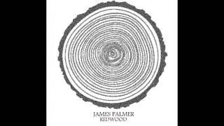 Stumble Through the Song - James Palmer