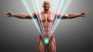 Prostate Healing Frequencies 432 Hz | Gentle Sound Therapy for Prostate Support