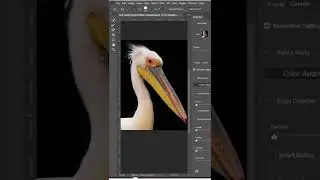 How to remove background for animals in photoshop? - photoshop tutorial