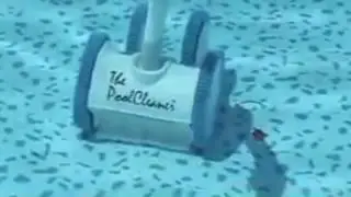 Hayward Poolvergnuegen 