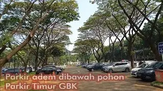 Parkir adem di bawah pohon | Parkir Timur GBK | Gelora Bung Karno | Senayan
