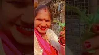 # Sarson Ka Phool bhav#