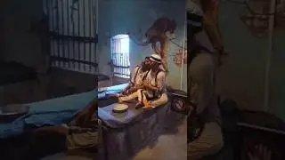 Alipore jail #shortsvideo #shortsfeed #love @priyankarrannabari4880